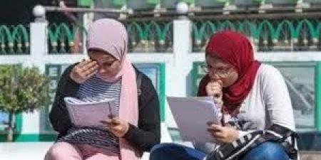 تجنبها فورا.. أطعمة تسرق التركيز وترهق الذهن في موسم الثانوية العامة - هرم مصر