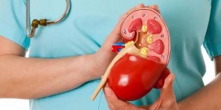 أطباء يفندون 7 خرافات خطيرة حول أمراض الكلى #الصحة #منوعات #اخبار_الصحة #اخبار_منوعة #لايف_ستايل #الجمهورية_أون_لاين - هرم مصر