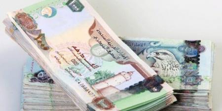 سعر الدرهم الإماراتي مقابل الجنيه المصري اليوم الجمعة 20-6-2025 - هرم مصر