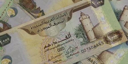 سعر الدرهم الإماراتي اليوم السبت 21 يونيو 2025 في البنوك - هرم مصر