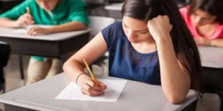 قبل انطلاق الامتحانات المضافة للمجموع.. هل توجد أسئلة للطلاب المتميزين؟ - هرم مصر
