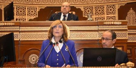 نائبة: إصلاح كليات التربية مدخل حيوي لأي مشروع قومي للنهوض بالتعليم - هرم مصر
