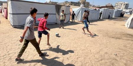 مدرّسة فلسطينية: نجوتُ من مجزرة بغزة لكن طلابي أصبحوا ملائكة - هرم مصر