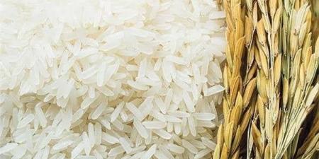 «عريض الحبة بكام؟».. سعر الأرز الشعير اليوم الأحد 22 يونيو 2025 - هرم مصر