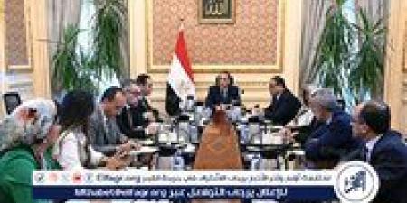 عاجل- رئيس الوزراء يناقش تحصين الاقتصاد المصري من آثار التصعيد الإقليمي مع اللجنة الاستشارية - هرم مصر