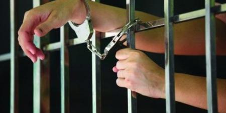 احذر.. الحبس 5 سنوات عقوبة نشر أخبار كاذبة بهدف تكدير السلم العام - هرم مصر