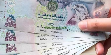 ارتفاع مفاجئ لسعر الدرهم الإماراتي مقابل الجنيه المصري اليوم الاثنين - هرم مصر