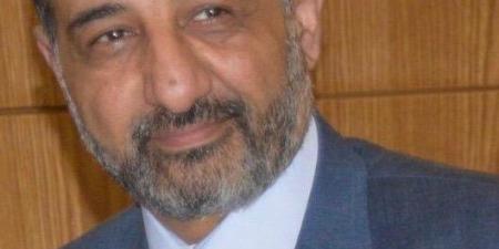 النقل الدولي واللوجستيات: خطة الحكومة تساعد الشركات الصناعية على خفض التكاليف - هرم مصر