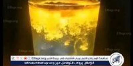 بعد تصدره التريند، "مياه الاقصر" الكركم المضيء.. تريند ترفيهي يُهدد الأمن المائي - هرم مصر