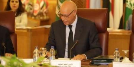 الجامعة العربية تؤكد ضرورة تعزيز التضامن العربى والدولى مع الإعلام الفلسطينى - هرم مصر