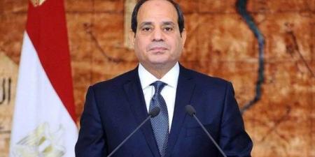 برلماني: توجيهات الرئيس السيسي بوابة جديدة لجذب الاستثمارات وتحقيق أمن الطاقة والكهرباء لمصر - هرم مصر