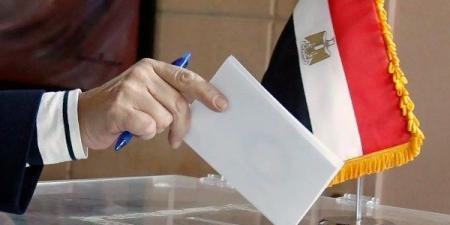 انتخابات مجلسي النواب والشيوخ.. الهيئة الوطنية تتخذ إجراءا مهما لهذا السبب - هرم مصر