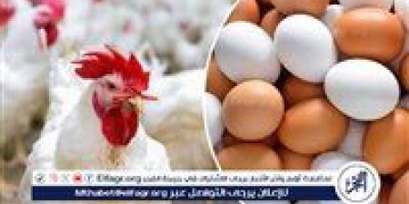 أسعار طبق البيض اليوم الخميس 26-6-2025 في الدقهلية - هرم مصر