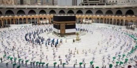 الشئون الدينية بالحرمين: 4 ملايين مستفيد من خدمات الحج هذا العام - هرم مصر