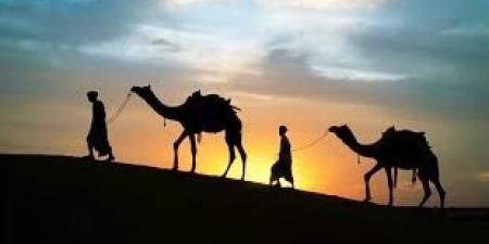 لماذا نحتفل بهجرة النبي فى شهر المحرم ؟ - هرم مصر
