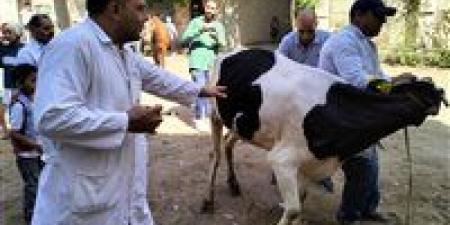 فحص 3180 طائر وحيوان بعزبة نظيف ضمن مبادرة "حياة كريمة" بالغربية - هرم مصر