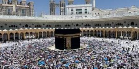 خدمات متكاملة للعناية بسجاد المسجد النبوي لراحة المصلين - هرم مصر