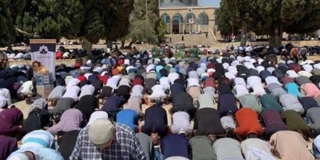45 ألفا يؤدون صلاة الجمعة في المسجد الأقصى - هرم مصر