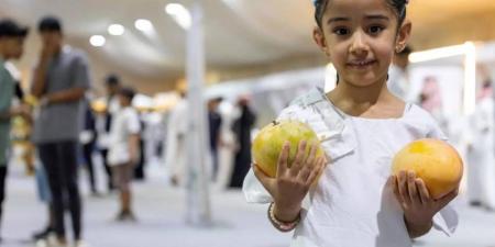 مهرجان المانجو الرابع بأملج يواصل فعالياته - هرم مصر