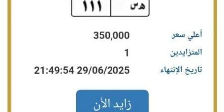 بـ 350 ألف جنيه.. «المرور» تطرح التزايد على لوحة سيارة مميزة - هرم مصر