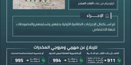حرس الحدود بعسير يقبض على (10) مخالفين لتهريبهم (200) كيلوجرام من القات المخدر - هرم مصر