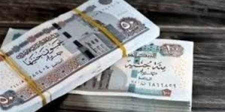 معاش ربات البيوت بدون وظيفة.. خطوات سهلة للإشتراك - هرم مصر