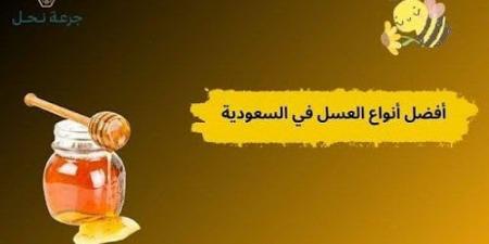 أفضل أنواع العسل في السعودية.. كيف تختار النوع المناسب لك؟ - هرم مصر