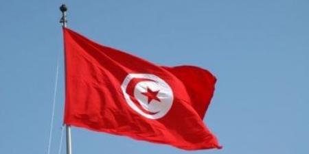 تليفزيون "بريكس": تونس تسعى لتعظيم صادراتها من المحاصيل الزراعية العضوية - هرم مصر