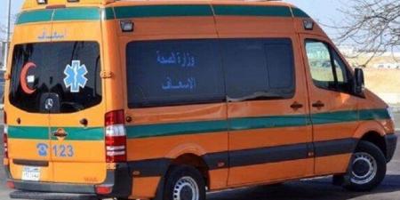 بينهم طفلان.. إصابة 6 أفراد من أسرة واحدة في انقلاب ميكروباص بالمنيا - هرم مصر