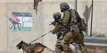 الاحتلال يستهدف الصحفيين خلال تغطيتهم هدم في محيط مستشفى جنين الحكومي - هرم مصر