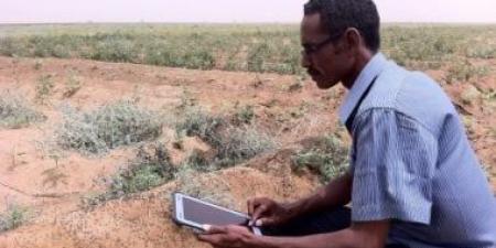 الفاو تطلق حملة لتوزيع البذور الطارئة لـ7.5 مليون شخص فى السودان - هرم مصر