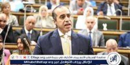 وزير الشؤون النيابية: جودة الطرق أدت لخفض الوفيات بشكل كبير عن الفترات السابقة - هرم مصر