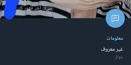داخل شبكات النصب الإلكتروني.. رحلة مع مُحتالي "الثراء السريع" من تليجرام إلى ضياع الأموال - هرم مصر