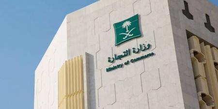انتهاء مهلة إيداع القوائم المالية - هرم مصر