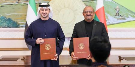 شركة إماراتية تنفذ مشروع طاقة شمسية في مدغشقر - هرم مصر