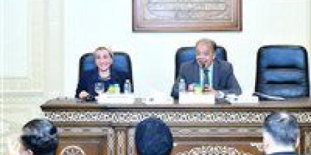 وزيرة البيئة تستعرض أمام لجنة الشئون الأفريقية جهود مصر للتصدي لآثار تغير المناخ - هرم مصر