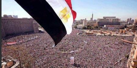 وزير الداخلية الأسبق: ثورة 30 يونيو وأدت مشروعا إقليميا لإسقاط الدولة المصرية - هرم مصر
