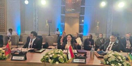 نائبة وزيرة التضامن تترأس الوفد المشارك فى أعمال ”الاجتماع العربي الإقليمي رفيع المستوى” بتونس - هرم مصر