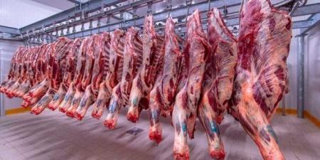البتلو بكام النهاردة؟.. أسعار اللحوم اليوم الثلاثاء 1 يوليو 2025 - هرم مصر
