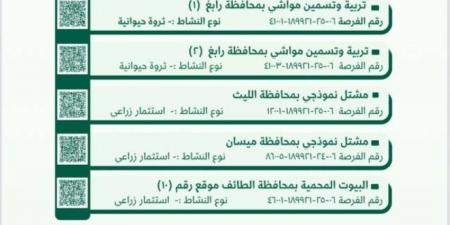 “بيئة مكة المكرمة” تطرح فرصًا استثمارية واعدة في القطاعين الزراعي والحيواني - هرم مصر