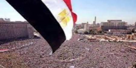 خبراء في ذكرى 30 يونيو: الثورة أنقذت مصر من مصير مظلم وكلمة الرئيس حملت رسائل مهمة - هرم مصر