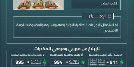 حرس الحدود بجازان يقبض على مخالف لنظام أمن الحدود لتهريبه 60 كيلوجرامًا من نبات القات المخدر - هرم مصر