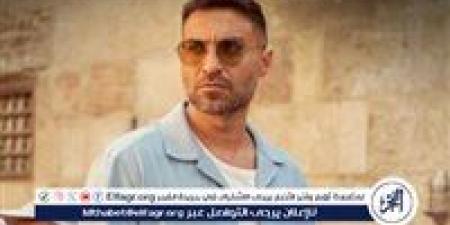 مهندس ديكور.. تفاصيل شخصية أحمد فهمي في أحمد وأحمد - هرم مصر