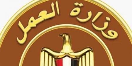 وزارة العمل تعلن عن وظائف جديدة بشركة كهرباء بمرتبات تصل إلى 13 ألف جنيه - هرم مصر