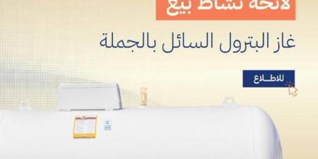 لائحة الغاز المسال تحظر إيقاف البيع دون موافقة - هرم مصر