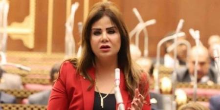 نائبة: مصر كانت على حافة الهاوية.. وخطاب 3 يوليو أنقذ الدولة من الانزلاق - هرم مصر