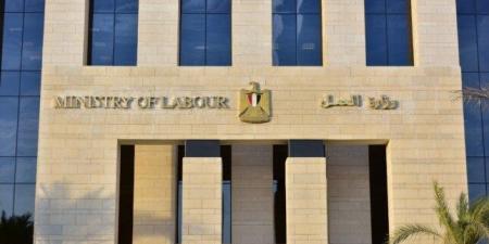 «العمل» تعقد تدريبات لـ 500 من مسئولي السلامة والصحة المهنية بـ 200 منشأة في الجيزة - هرم مصر