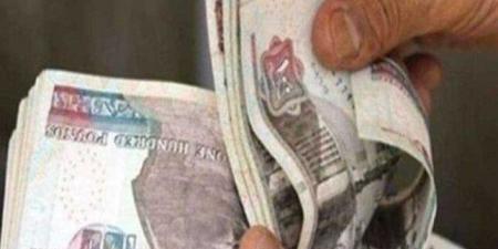 متى يطبق قرار ترقية الموظفين بالدولة؟.. ونسبة الزيادة في المرتبات - هرم مصر