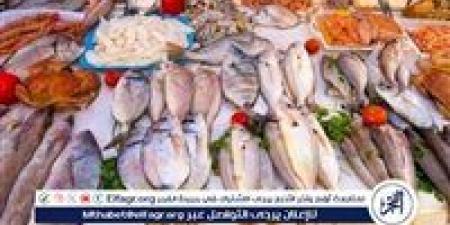 أسعار السمك البلطي والبوري اليوم الجمعة 4-7-2025 في محافظة قنا - هرم مصر