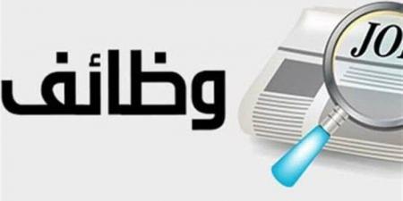 «العمل» تعلن عن فرص توظيف جديدة برواتب تصل إلى 10 آلاف جنيه - هرم مصر